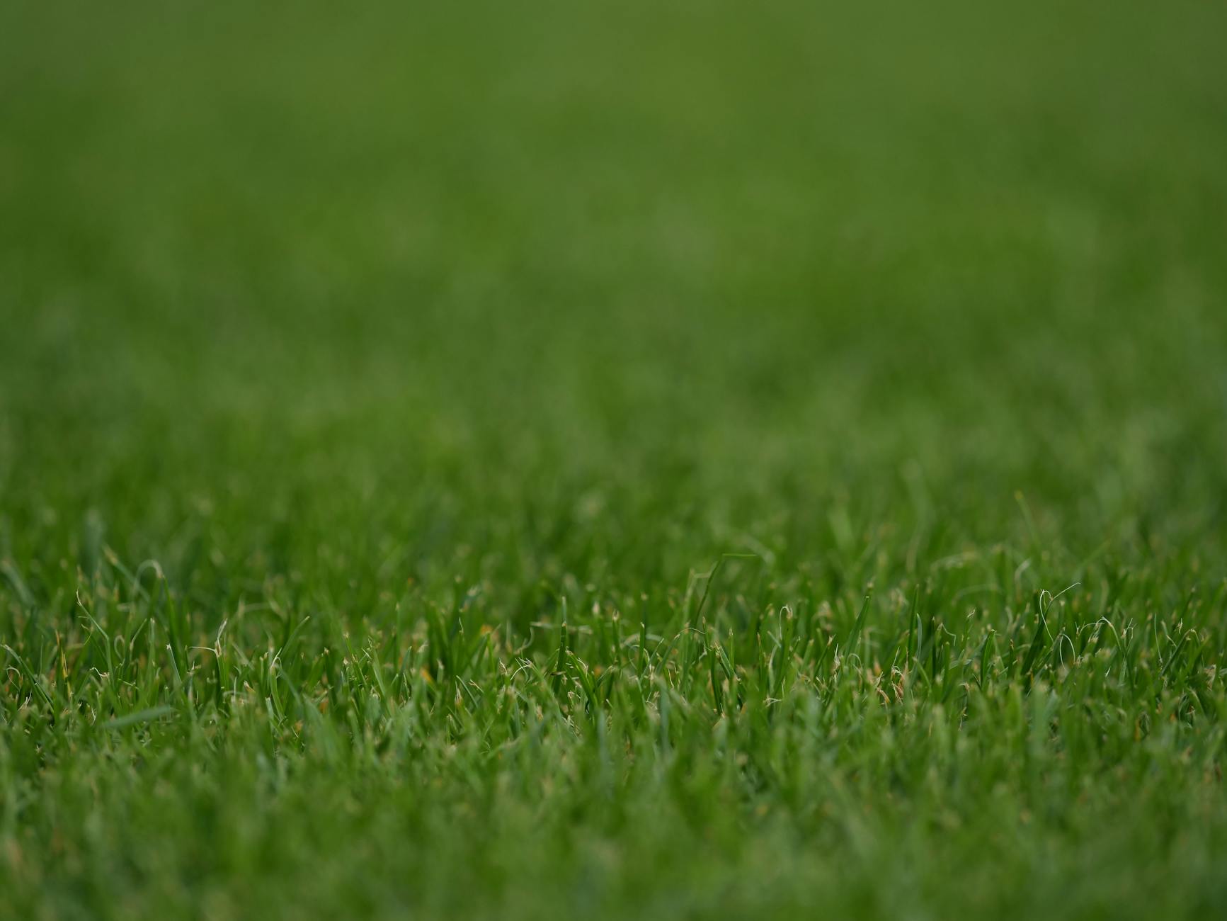 Boxpro Express lawn-care service in Yuba City