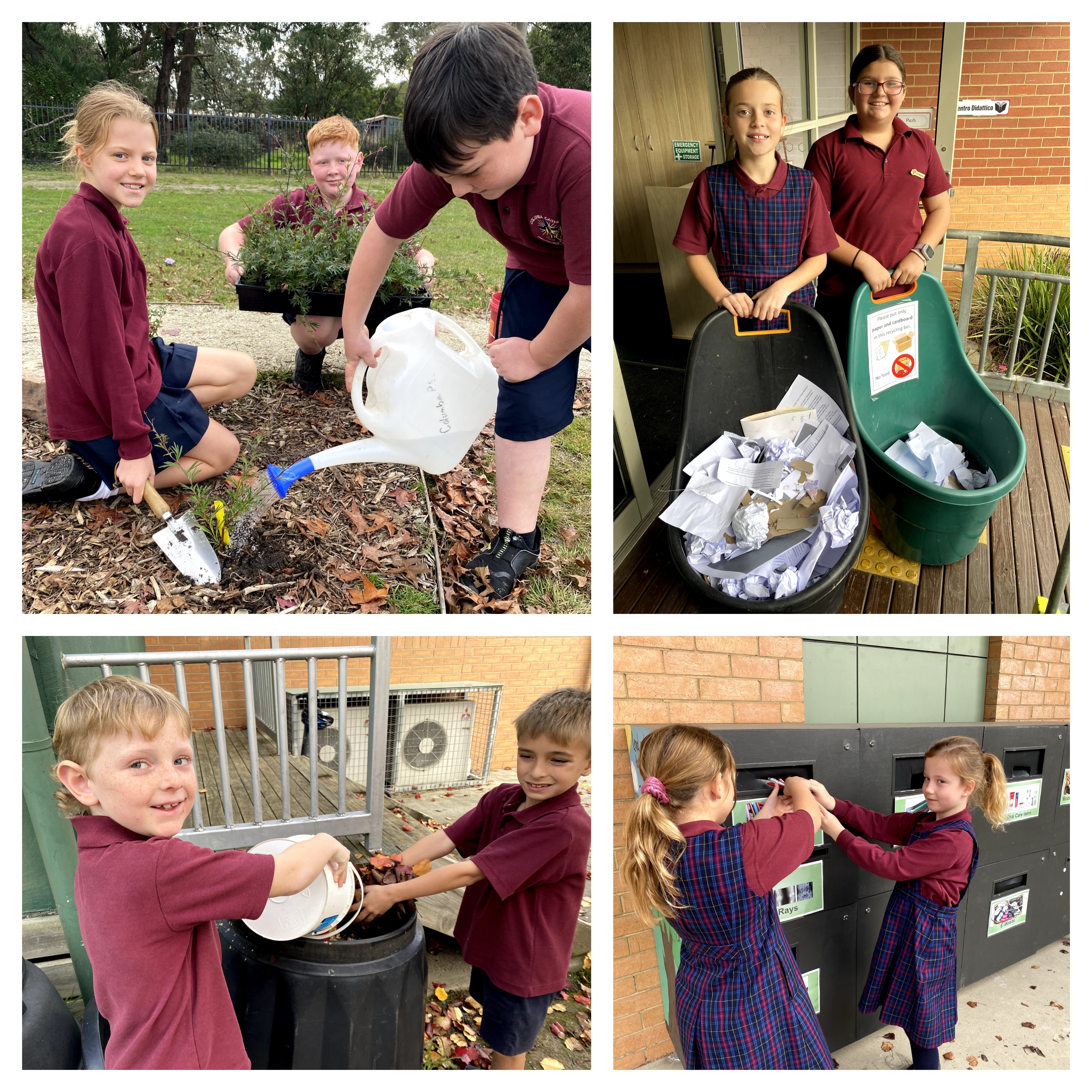 Let's BRAG About Columba Catholic Primary School