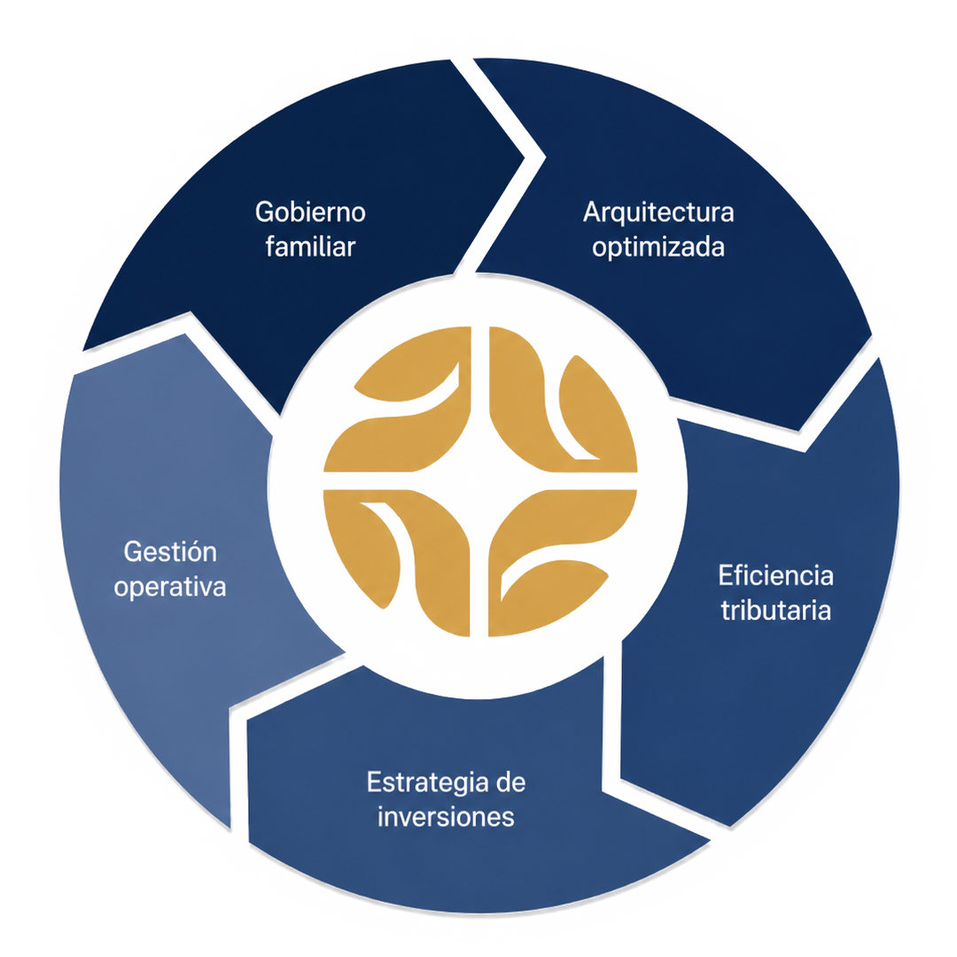 Ciclo patrimonial Legadus