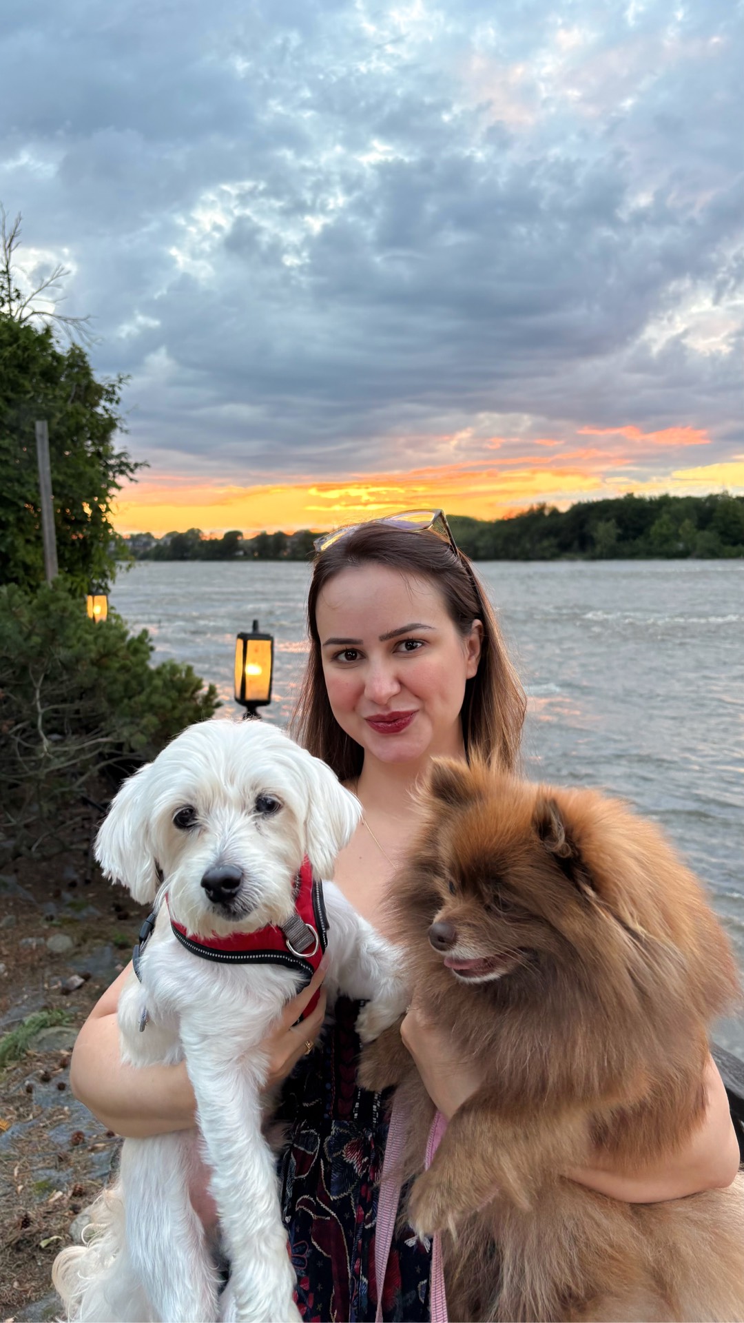 Petsitter — foto 4 de 10