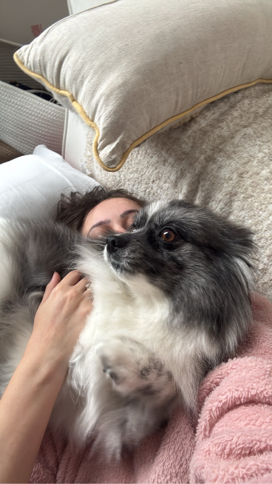 Petsitter — foto 6 de 10