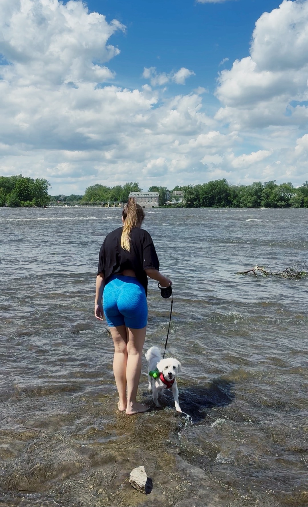 Petsitter — foto 5 de 10