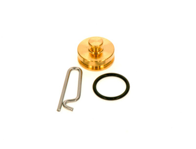 Bosch Plug