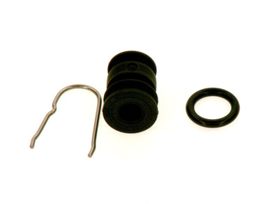 Bosch Plug