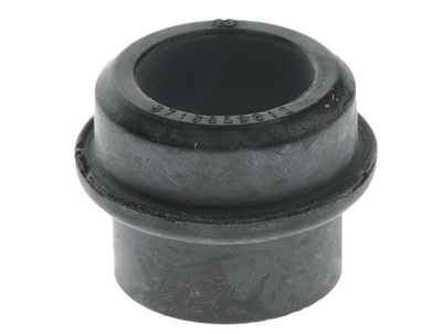 Bosch Plug