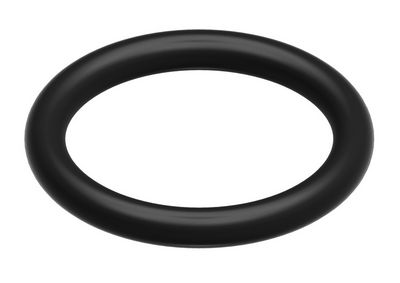 Bosch O-ring (10x)