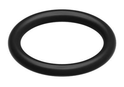 Bosch O-ring (10x)