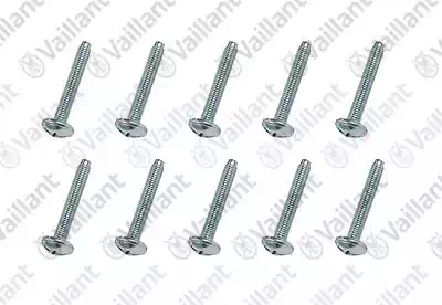 Vaillant Csavar (x10)