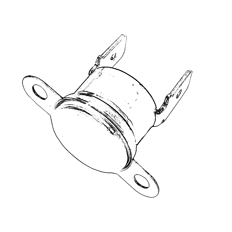 Beretta Beretta Flue gas thermostat