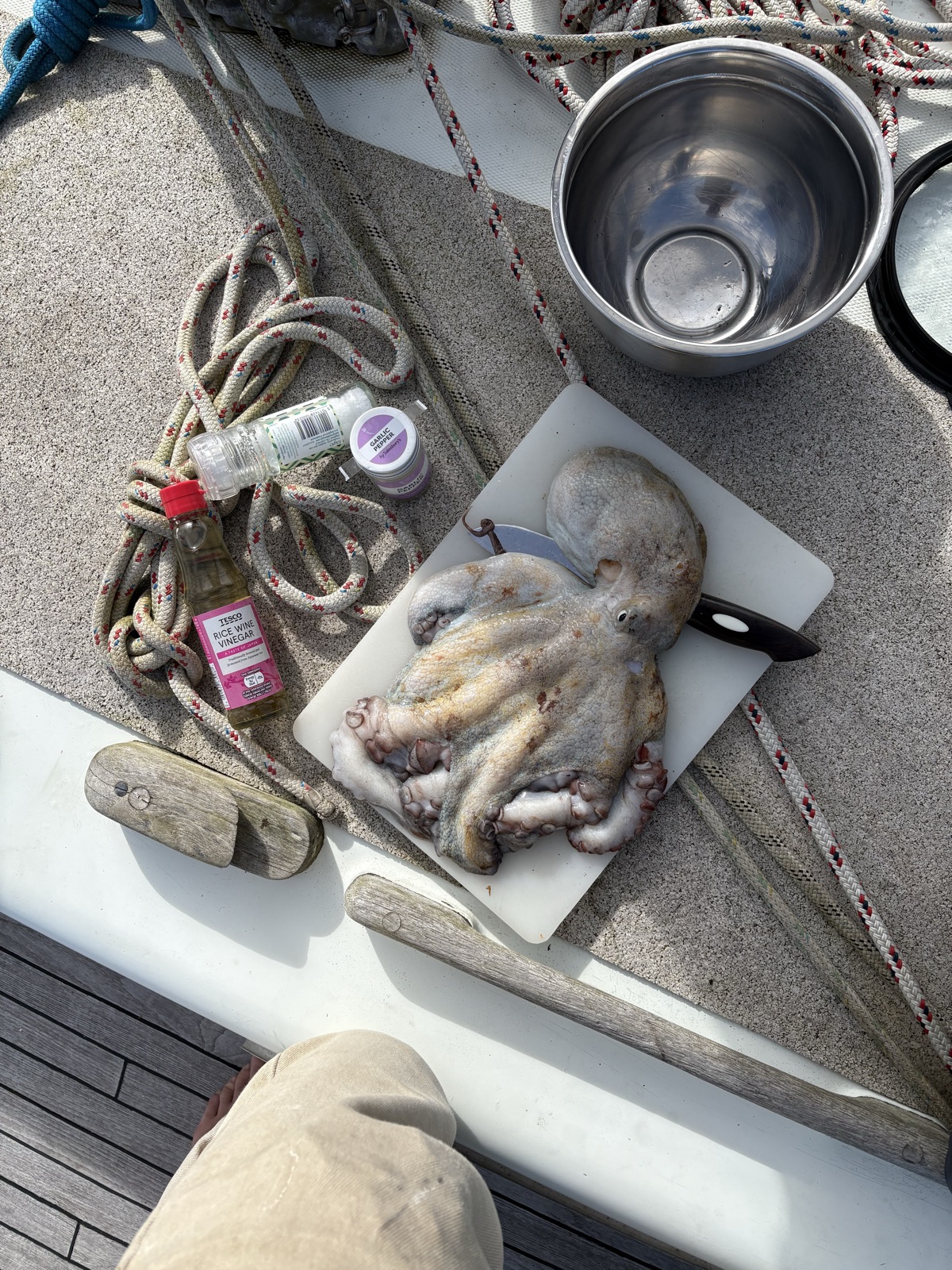 BBQ octopus - Image 1