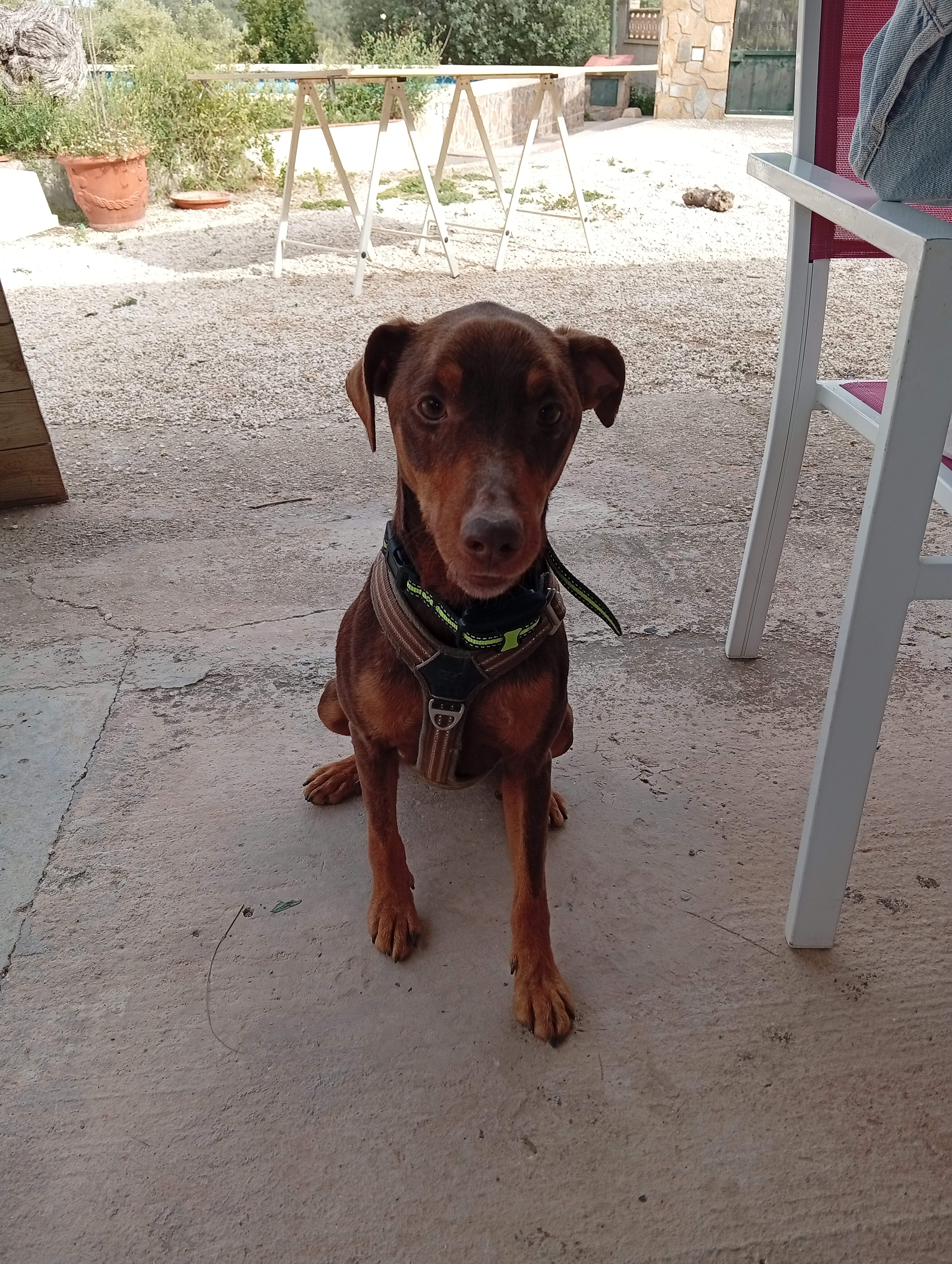 Golfo's photo 1