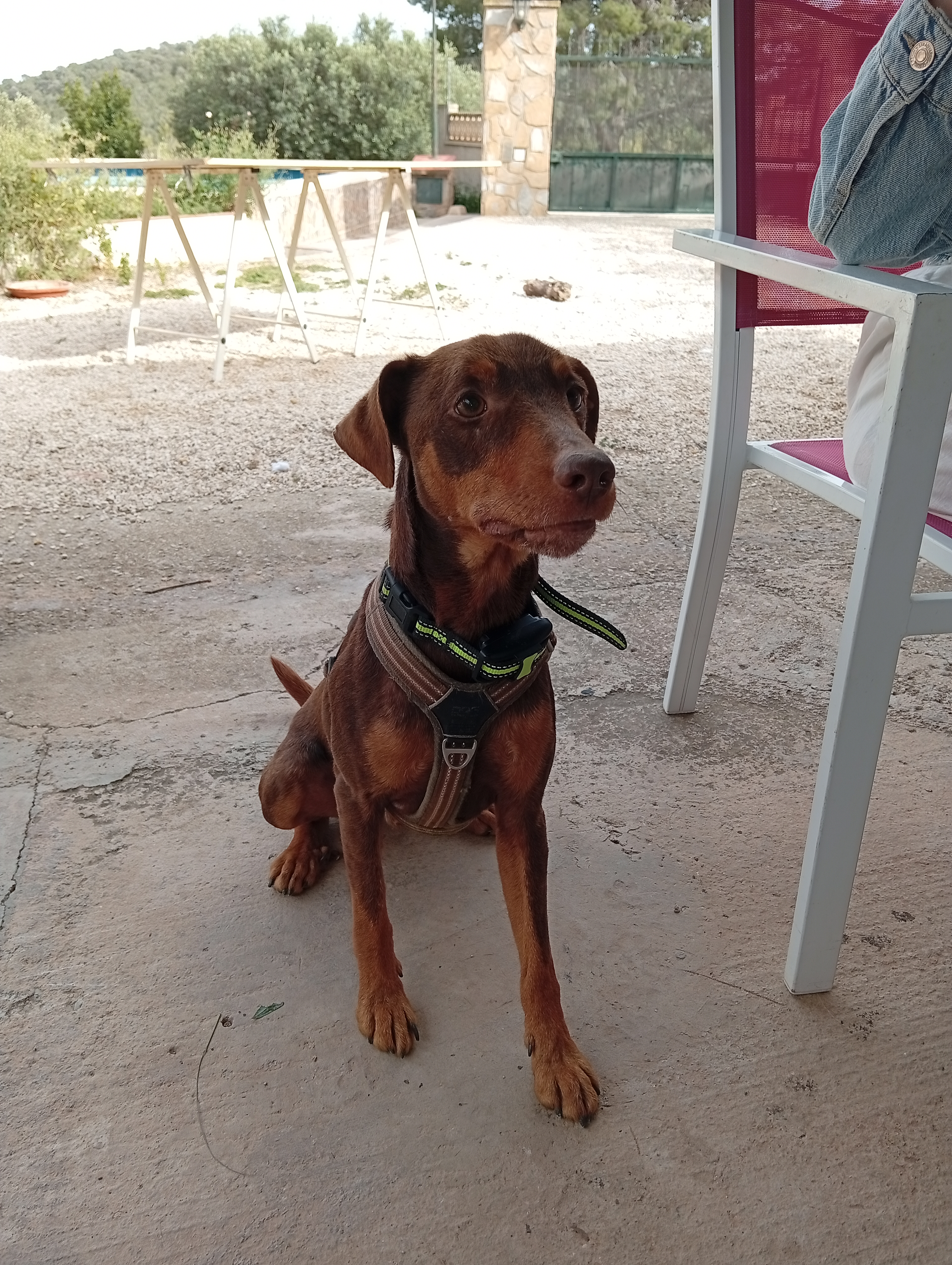 Golfo's photo 2