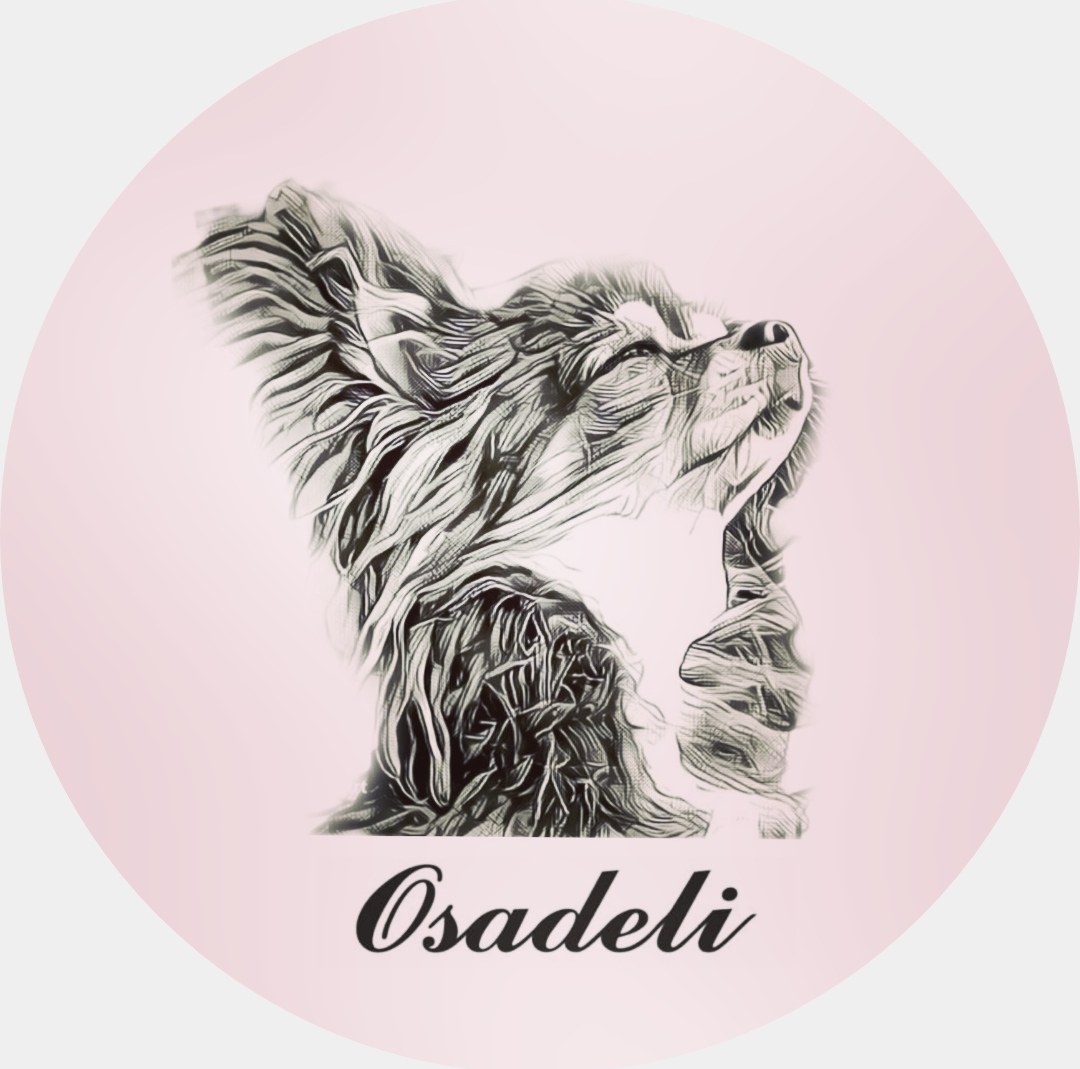 osadeli.chihuahuas's cover image