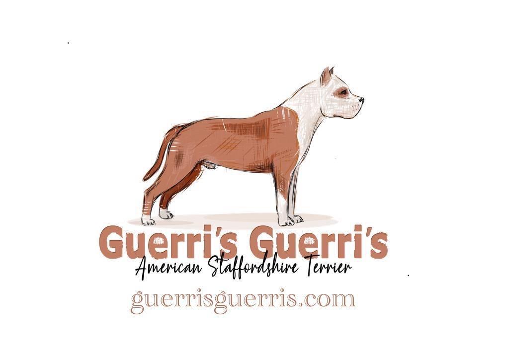 guerri's cover image