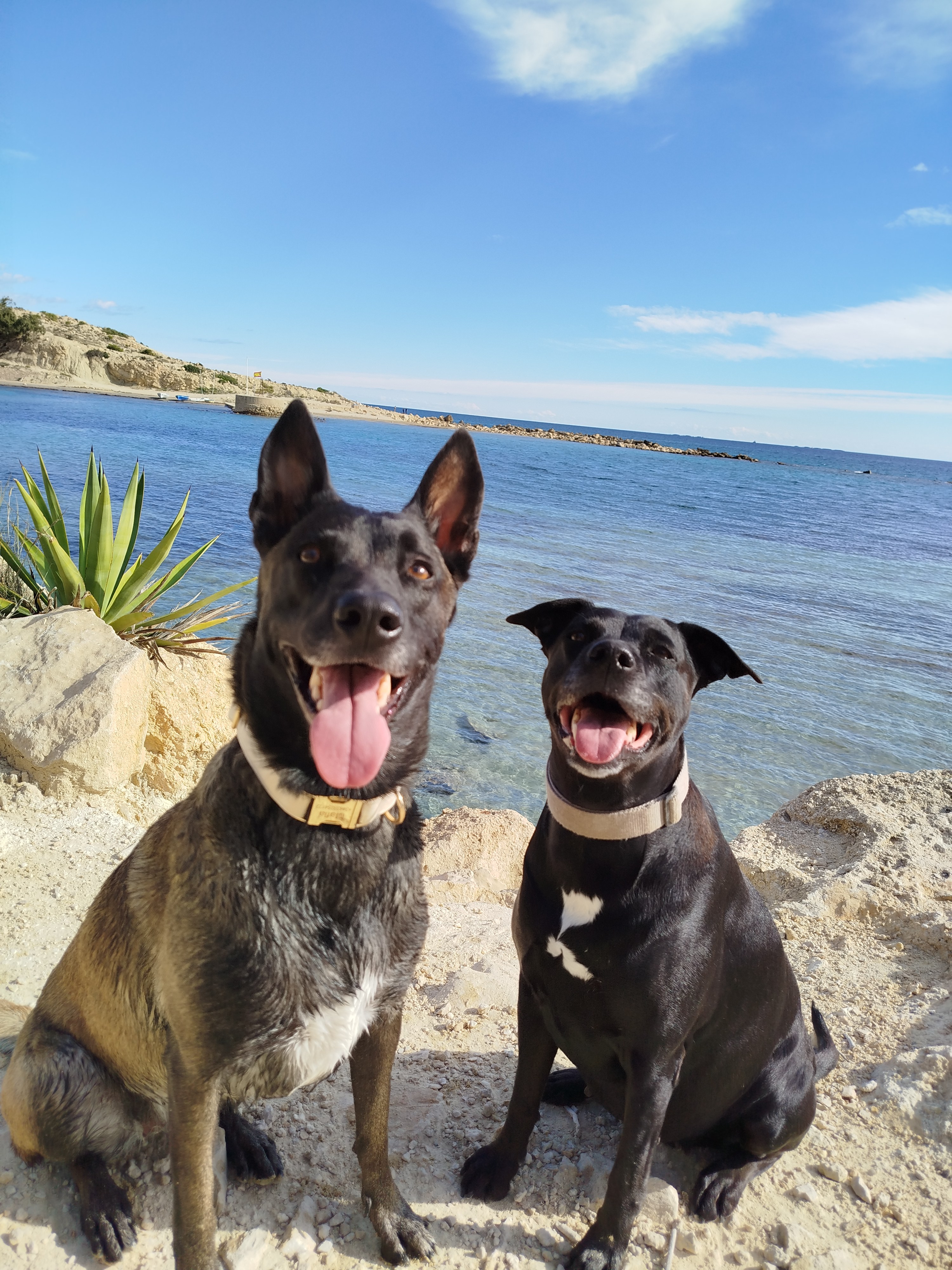 kesjanieekkesja.ozlem's cover image