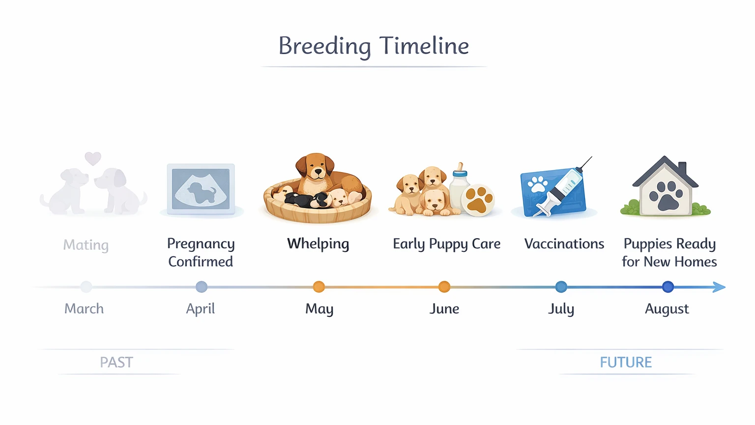 What Organized Actually Looks Like in a Breeding Program (2).webp