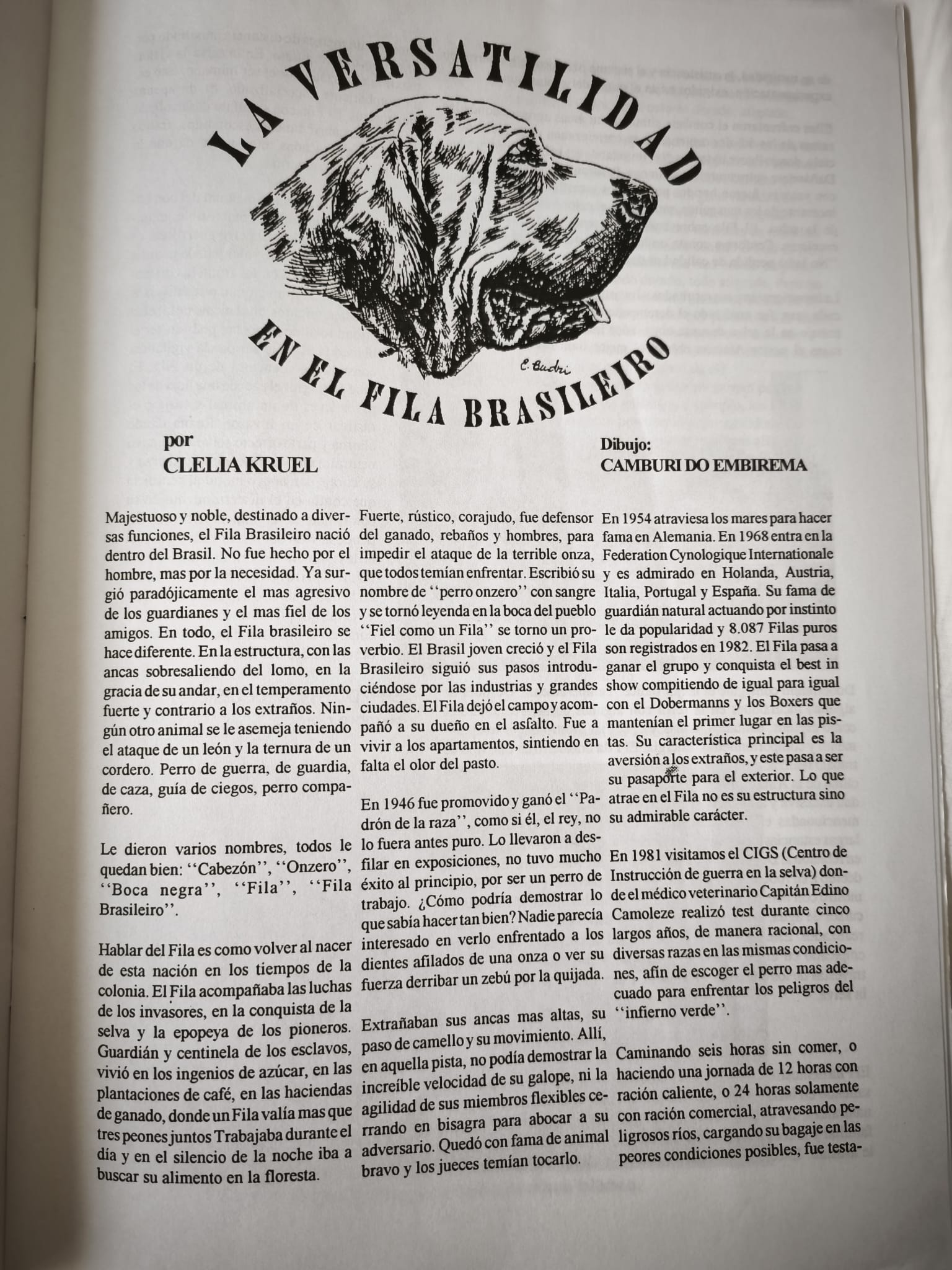 La versatilidad en el Fila Brasileiro, julio de 1993 1