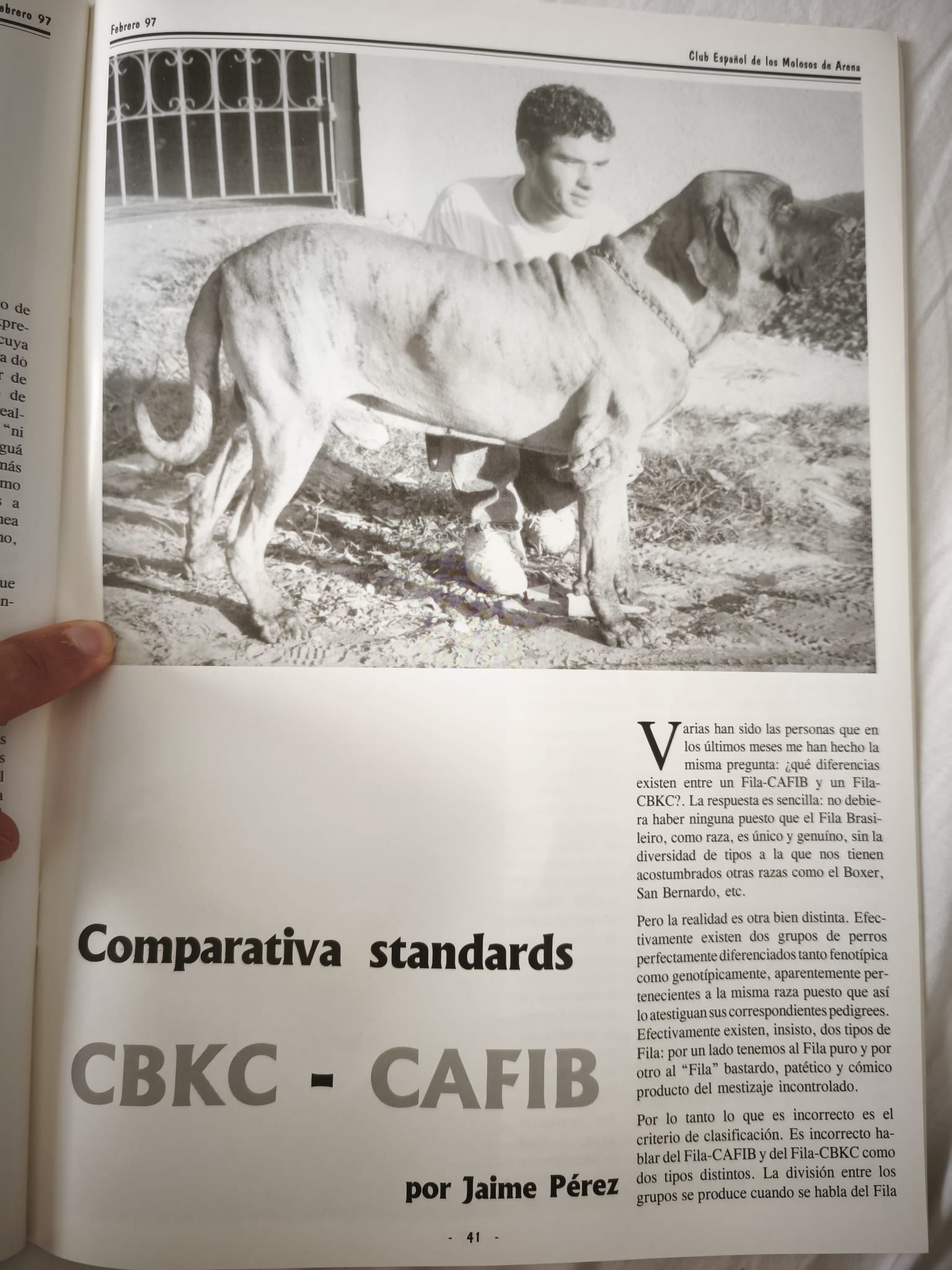 Comparativa de standards CBKC - CAFIB en el Fila Brasileiro, febrero de 1997 1