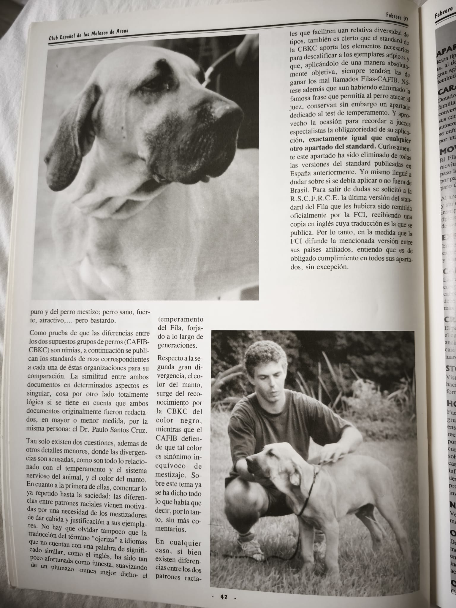 Comparação dos standards CBKC - CAFIB no Fila Brasileiro, fevereiro de 1997 2
