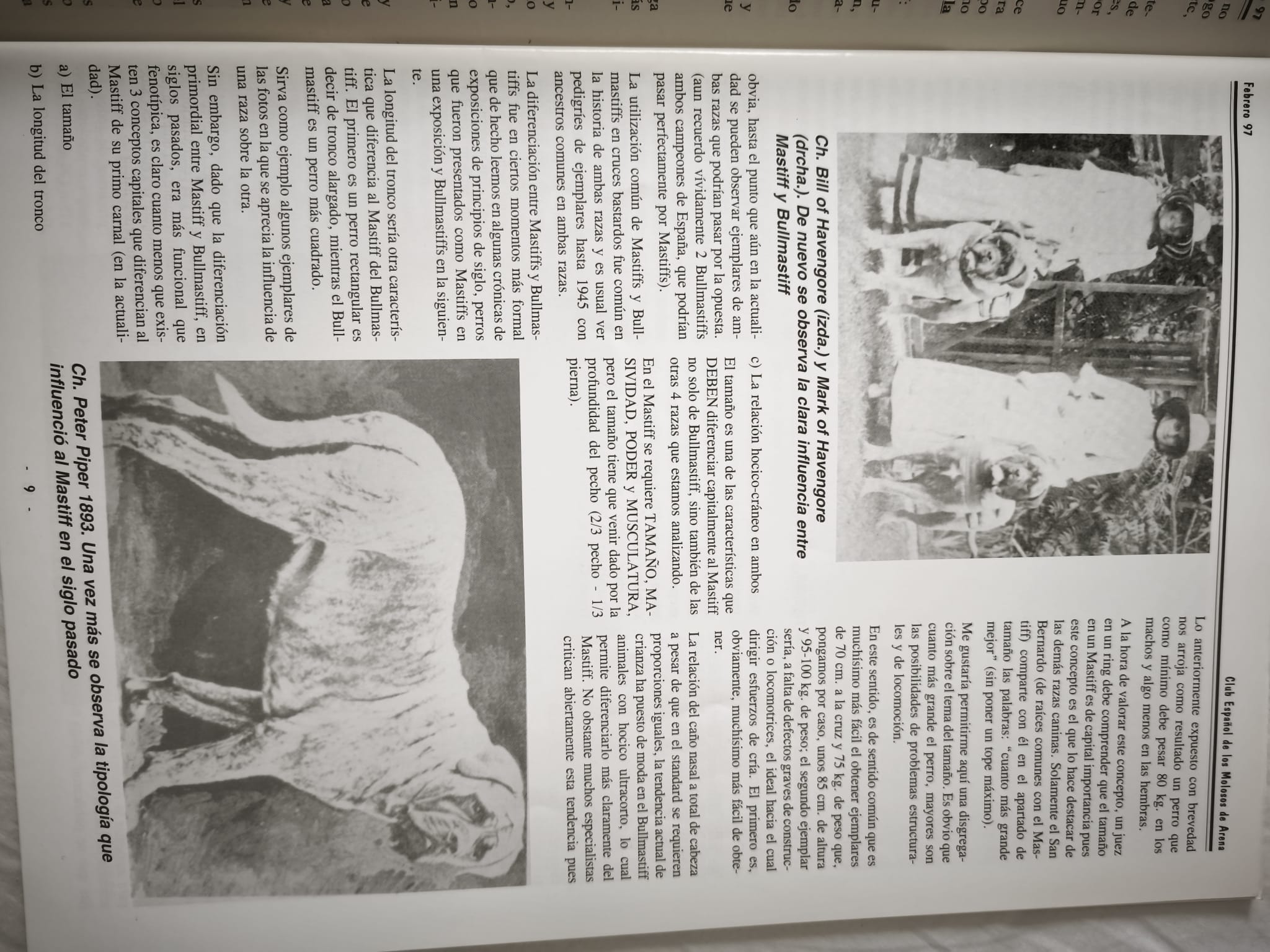 Mastiff, Bullmastiff, Fila Brasileiro, Dogue de Bordeaux and Neapolitan Mastiff: together, but not mixed, February 1997 2