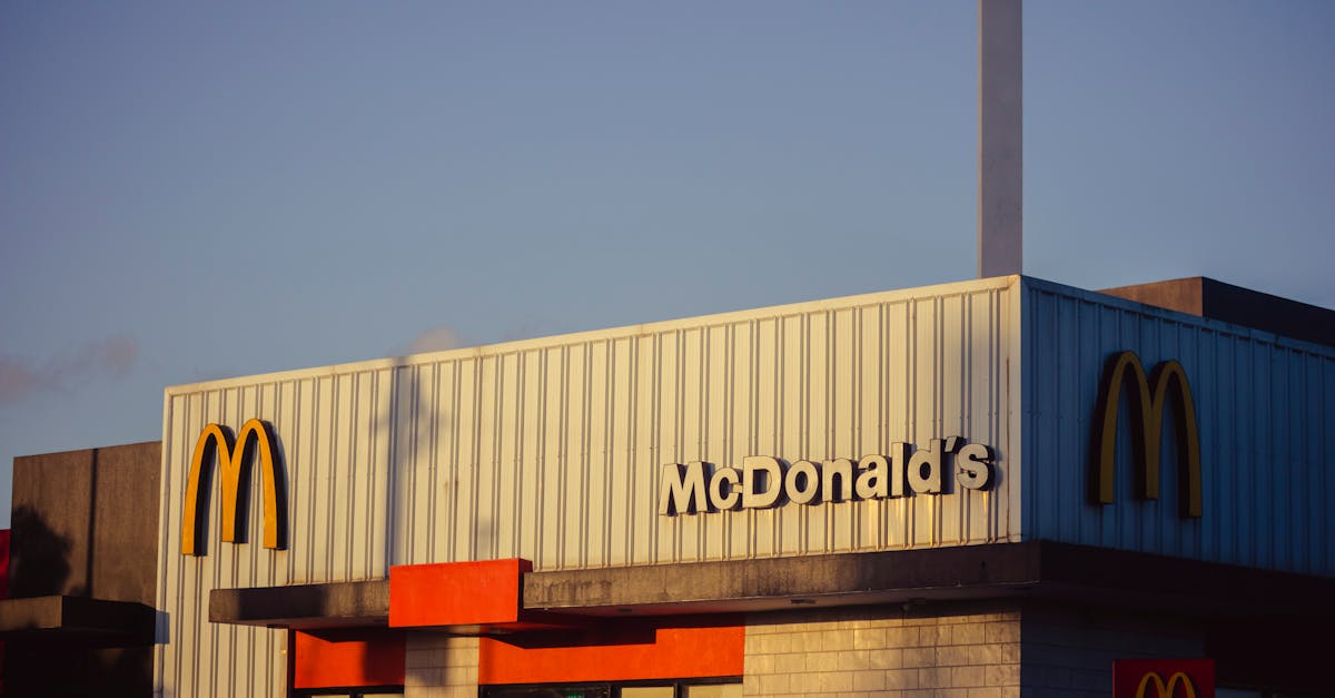 Franchise vs. Starting From Scratch