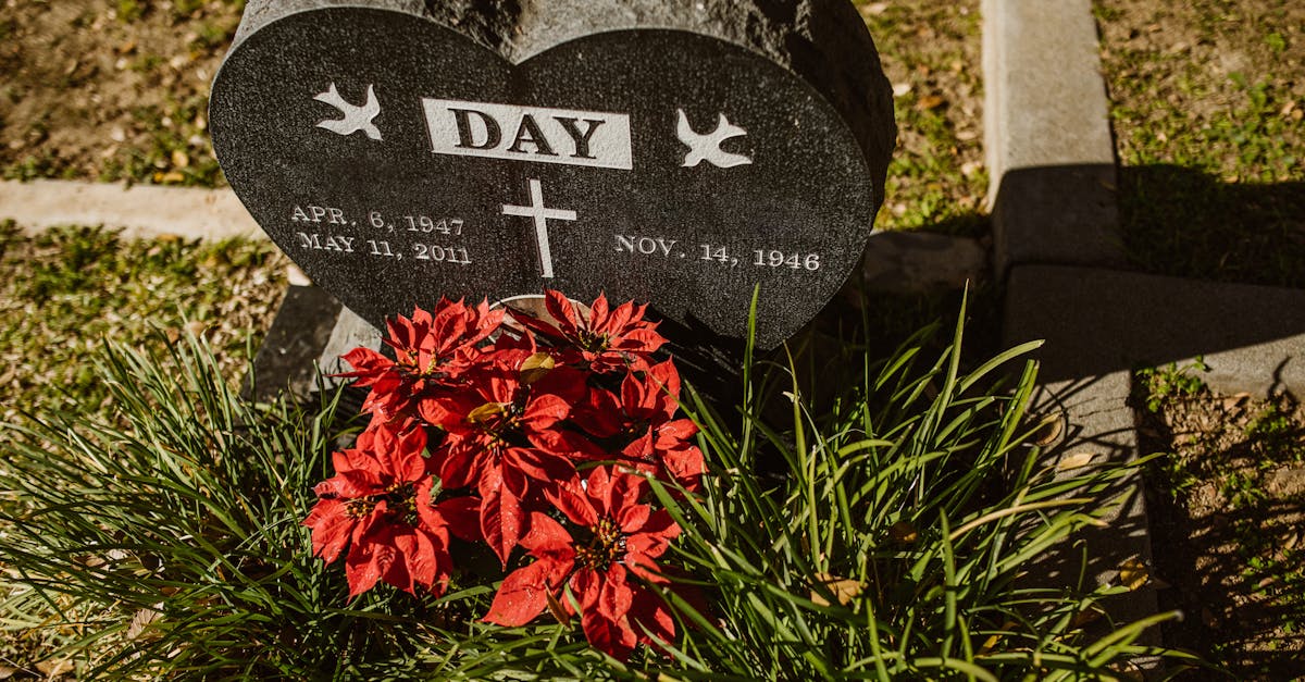 Declining Jobs in South Africa: Low-Demand Roles to Watch in 2026