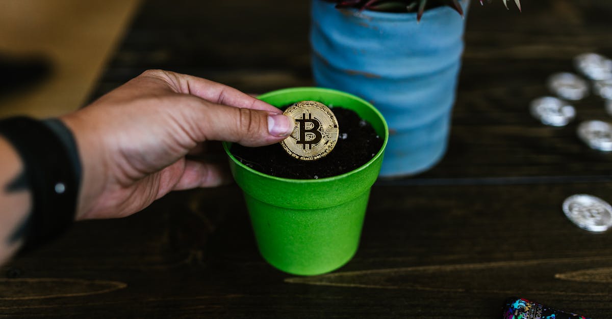 Smart First Investments for Beginners