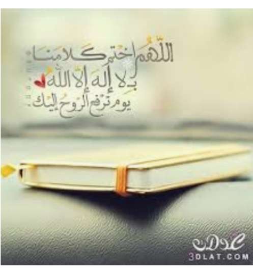 محمد فتحي لمنفي — صورة 4