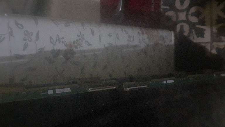 badar — photo 4