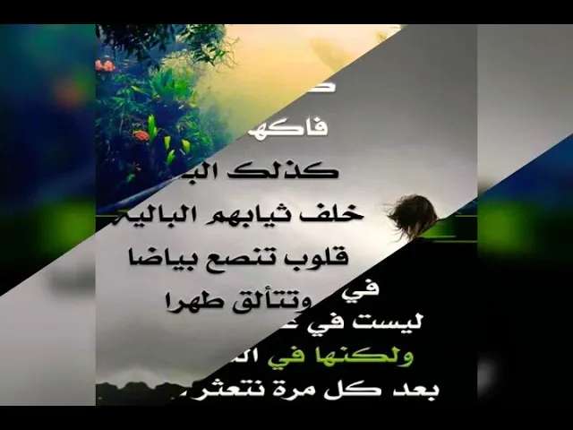 حسام الصاوي