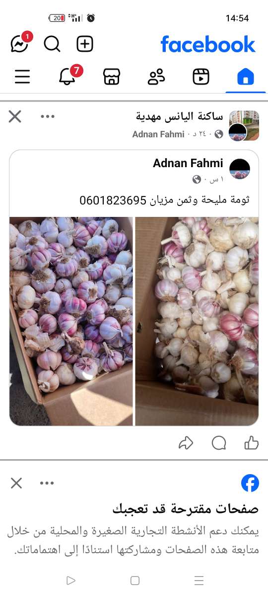 عبد الله — photo 4