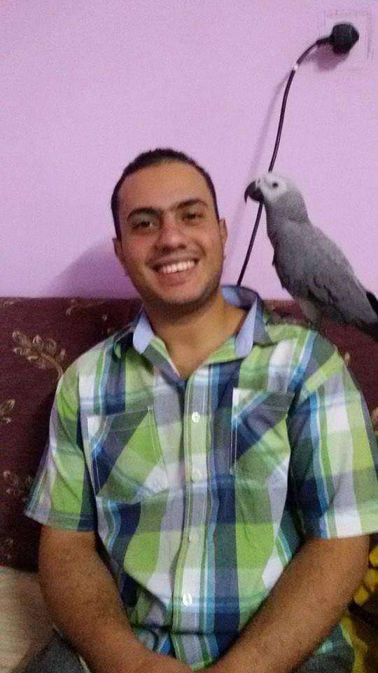 هشام الاطوني — صورة 3