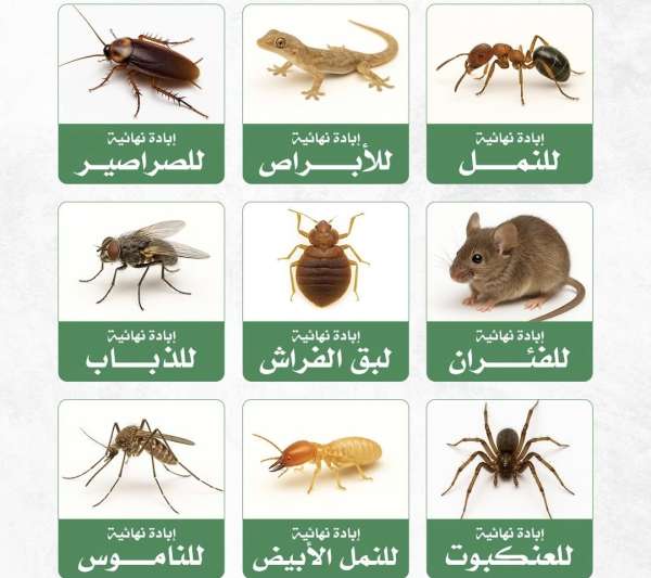 فادي سامي — صورة 1