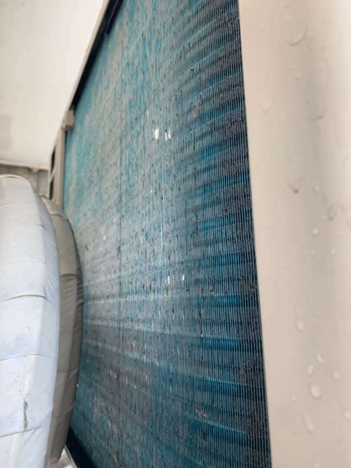 احمد حسين محمد — صورة 4