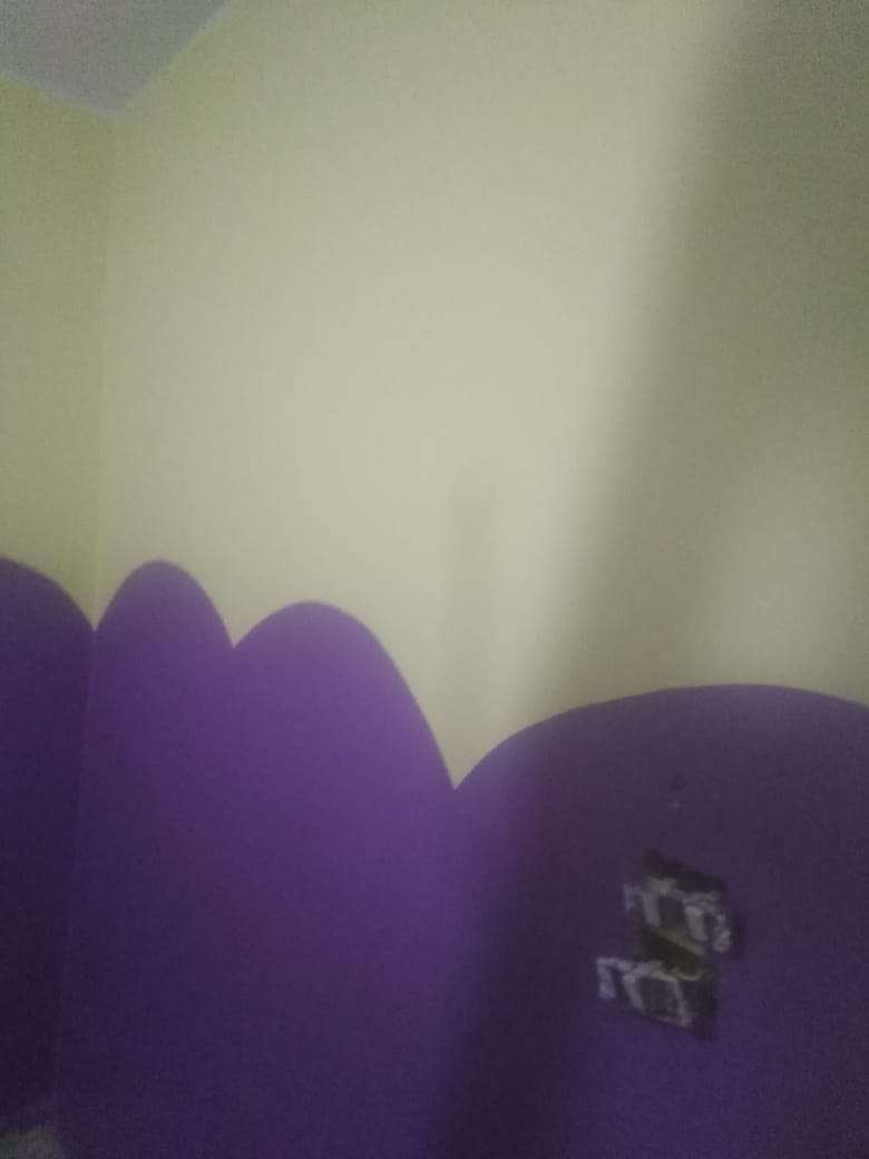 هانى سلامة مينا — صورة 4