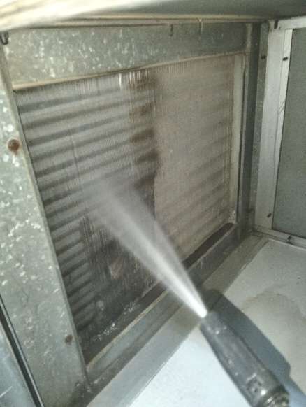 عماد عبدالنبي — صورة 2