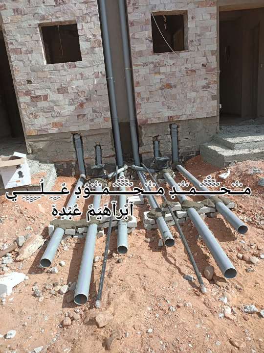 محمد محمود علي — صورة 1