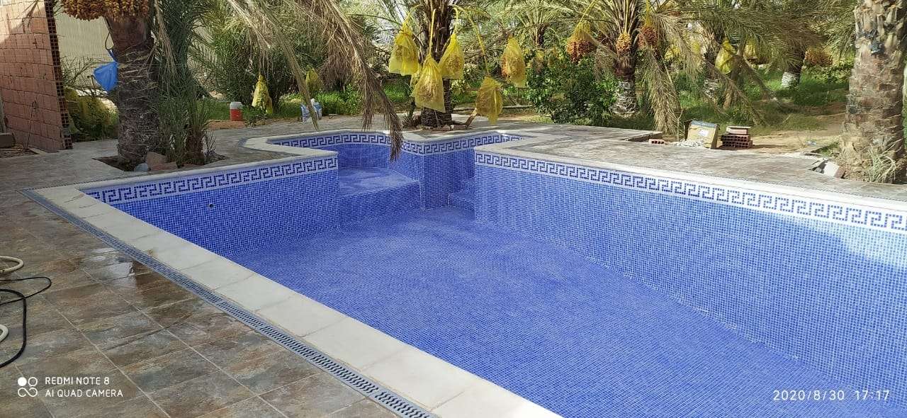 داوود — photo 2