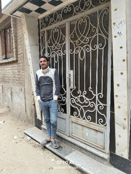 حسام حسن — صورة 2
