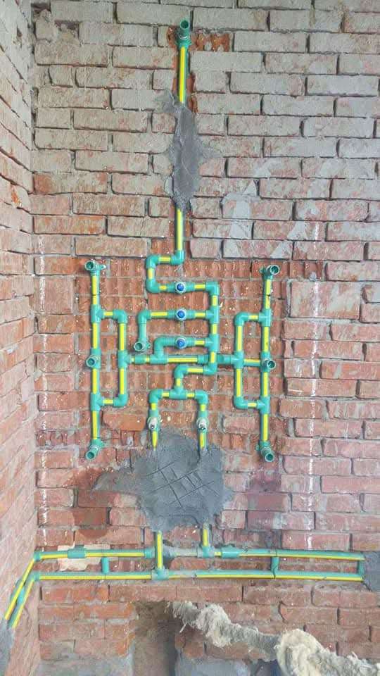 محمد شعبان محمود — صورة 3