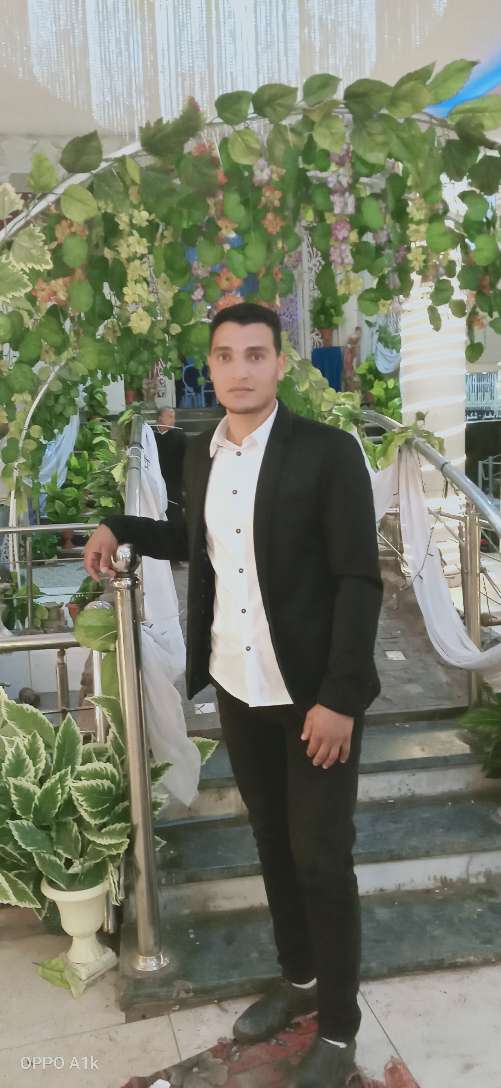 محمد فوزى — صورة 1