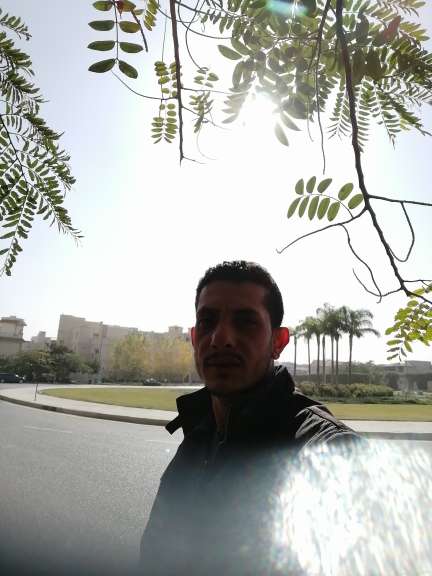 عبدالستار علي