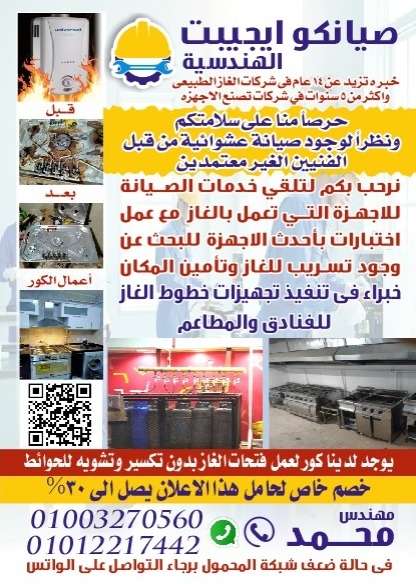 صيانكو ايجيبت — صورة 2