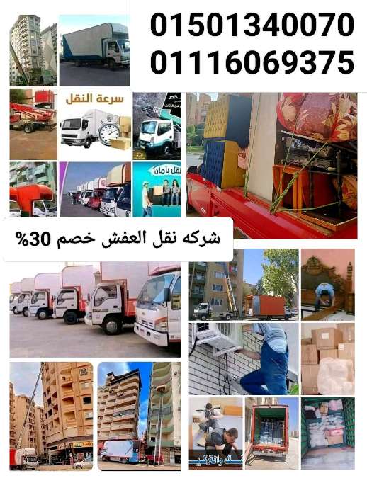 تامر سعيد — صورة 2