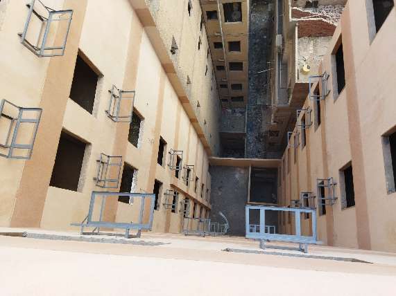 amr arafa — صورة 1