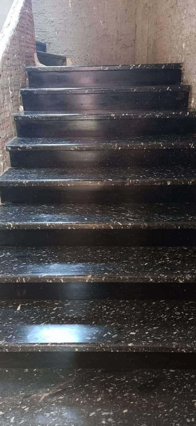 عادل سلامه — صورة 3