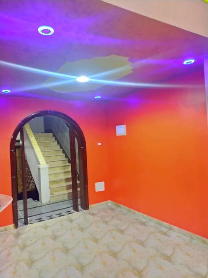 نصر أبوبكر — صورة 1