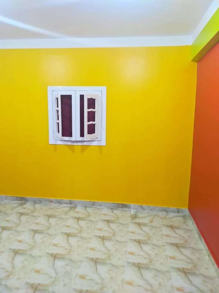 نصر أبوبكر — صورة 2
