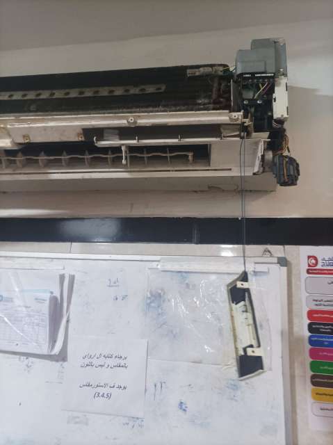 محمود قاسم — صورة 4