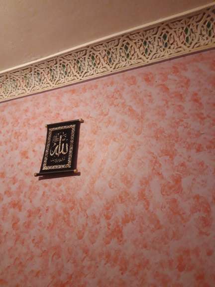 adil fellah — photo 3